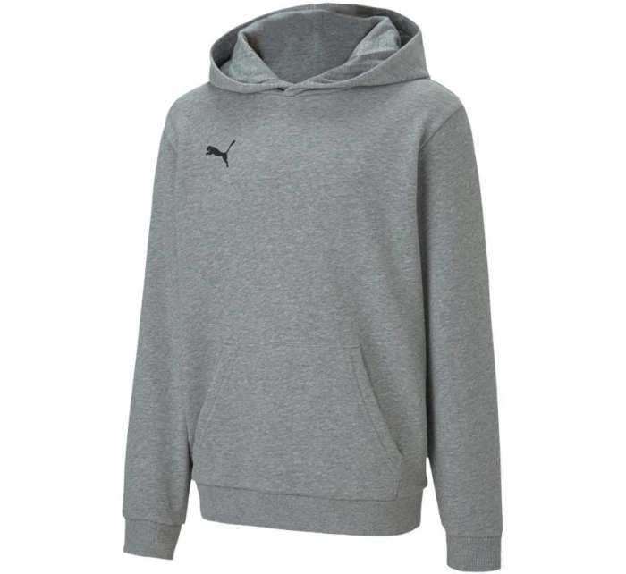 Dětská mikina TeamGOAL 23 Casuals Jr 656711 33 - Puma