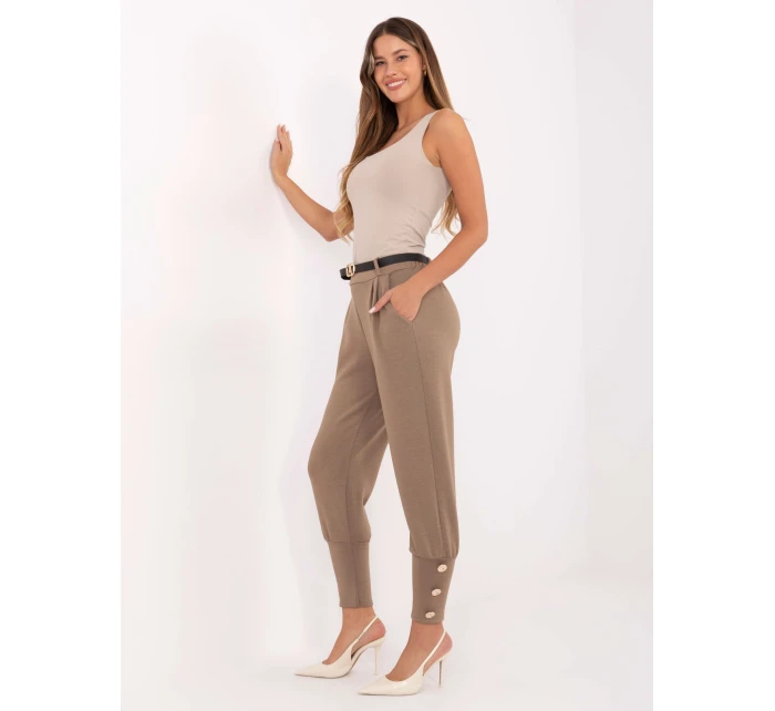 Spodnie IT SP model 21441252 ciemny bezowy - FPrice