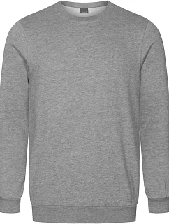 Pánská mikina 40. sports grey model 22536919 - Promodoro