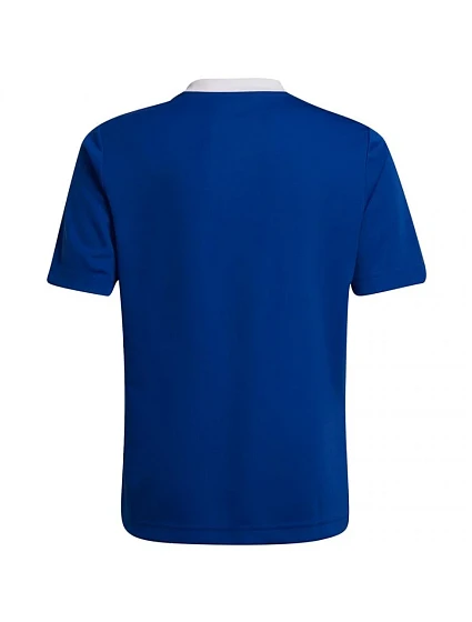 Dětské tréninkové tričko Entrada 22 Jsy Jr model 17079137 - ADIDAS Dětské tréninkové tričko Entrada 22 Jsy Jr model 17079137 - ADIDAS