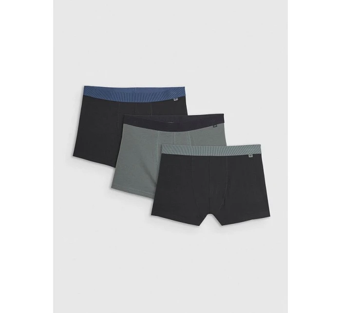 Pánské boxerky (3 balení) model 22117220 - 4F