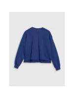 Dámská mikina model 21434887 oversize bez kapuce - 4F Dámská mikina model 21434887 oversize bez kapuce - 4F