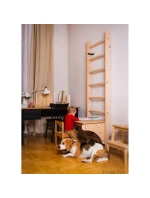 DŘEVĚNÝ ŽEBŘÍK S LAVIČKOU 112