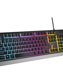 HERNÍ  300 RGB US model 21336007 - Genesis