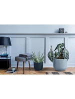 DONICZKA DO   dětské model 21833627