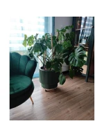 DONICZKA DO   dětské model 21833627