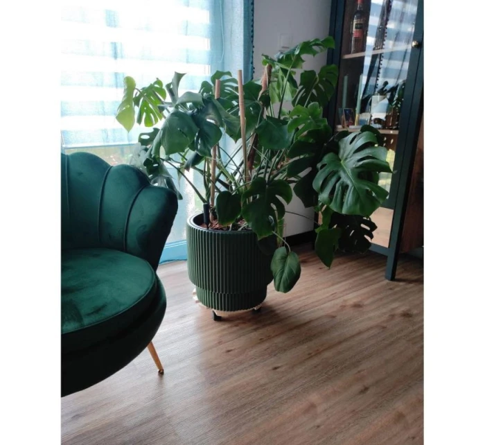 DONICZKA DO   dětské model 21833627