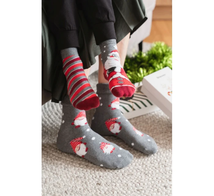 Obrázkové ponožky model 20816305 037 - Steven