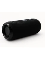 BLUETOOTH  FM   USB-C model 21861629