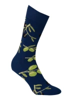 Vzorované pánské ponožky model 7508543 - Wola