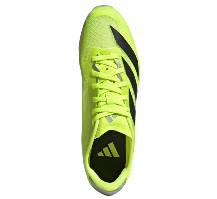 Boty adidas Sprintstar M spike IF9404