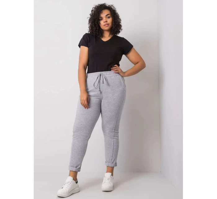 Tepláky RV DR 6300.19 šedá