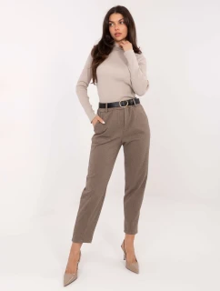 Spodnie IT SP model 21776378 ciemny bezowy - FPrice