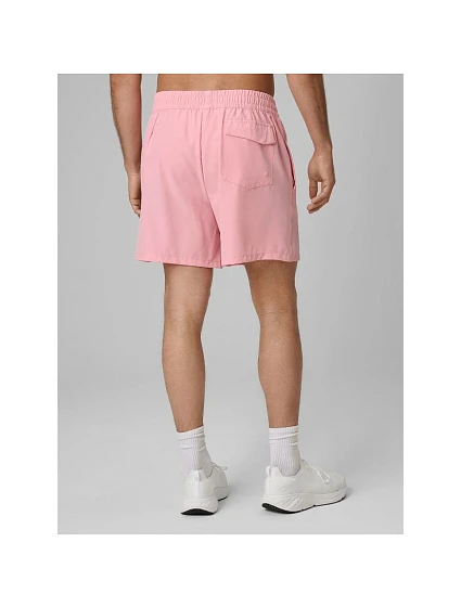 Pánské plážové šortky boardshorts model 22220100 - 4F