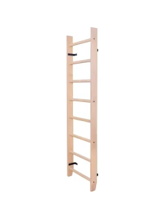 BENCHK 100 GYMNASTICKÝ ŽEBŘÍK