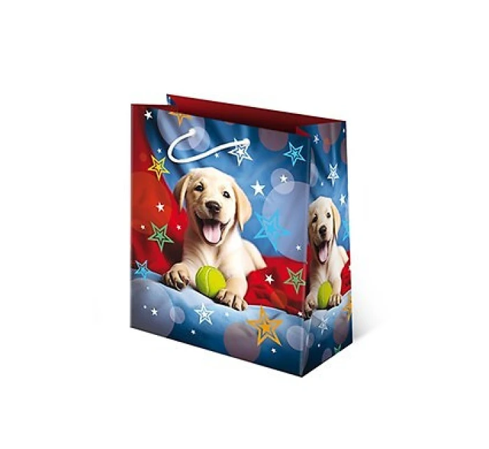 Bag T8L Set 149 model 21935552 A'10 - Paw Bag T8L Set 149 model 21935552 A'10 - Paw