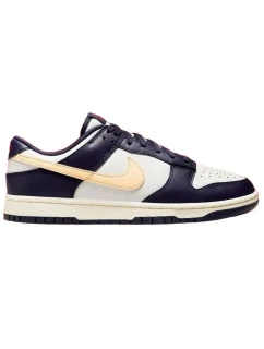 Pánské boty Nike Dunk Low Retro FV8106-181