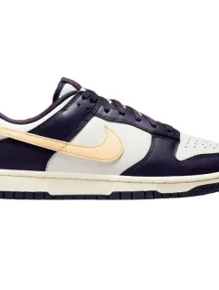 Pánské boty Nike Dunk Low Retro FV8106-181