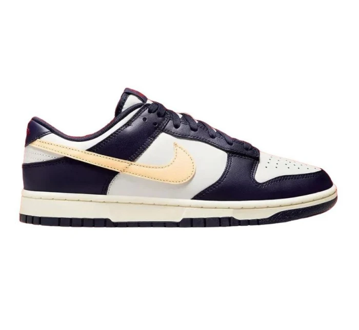 Pánské boty Nike Dunk Low Retro FV8106-181 Pánské boty Nike Dunk Low Retro FV8106-181