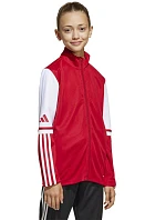 Mikina adidas Squadra 25 Training Jr JD4797