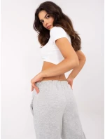 Spodnie DHJ SP model 20863027 szary - FPrice