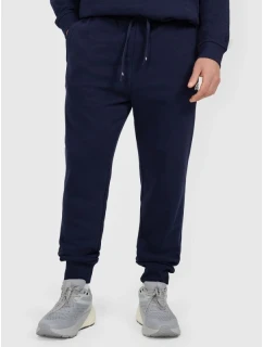 Pánské tepláky typu jogger model 21920406 - 4F