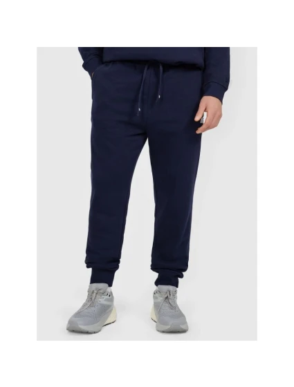 Pánské tepláky typu jogger 4F 4FRMM00TTROM1624-31S Pánské tepláky typu jogger 4F 4FRMM00TTROM1624-31S