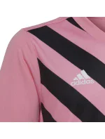 Dres Entrada 22 Graphic Jersey Jr HC2632 - Adidas
