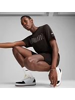 Sport Graphic Tee M model 21014619 01 pánské tričko - Puma