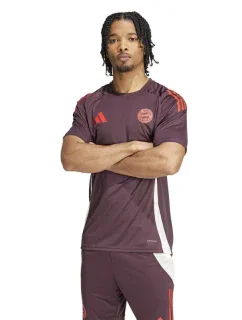 FC Bayern Training JSY M Tričko model 20121868 - ADIDAS