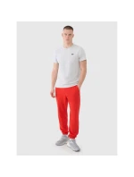 Spodnie dresowe męskie model 21460755 - 4F
