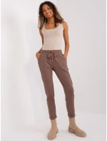 Spodnie dresowe RV DR model 19381360 brązowy - FPrice Spodnie dresowe RV DR model 19381360 brązowy - FPrice