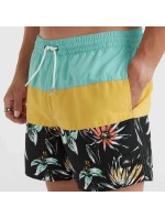 Plavecké šortky O'Neill Cali Block M model 20080403 - ONeill