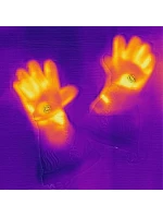 rukavice ; barva černá) model 21765199 - Glovii rukavice ; barva černá) model 21765199 - Glovii