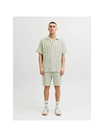 Jack&Jones pánské pruhované šortky JPSTJAIDEN COBA STRIPE JOG SHORTS REG SN 12274413 TEA/STRIPES