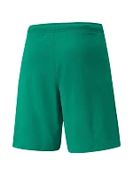 Pánské kraťasy teamRISE Short M 704942 05 - Puma Pánské kraťasy teamRISE Short M 704942 05 - Puma
