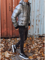 Pánská zimní bunda s kapucí, stříbrná Dstreet TX3948