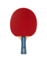 model 21858483 NA STOLNÍ TENIS TEAM PREMIUM - Joola