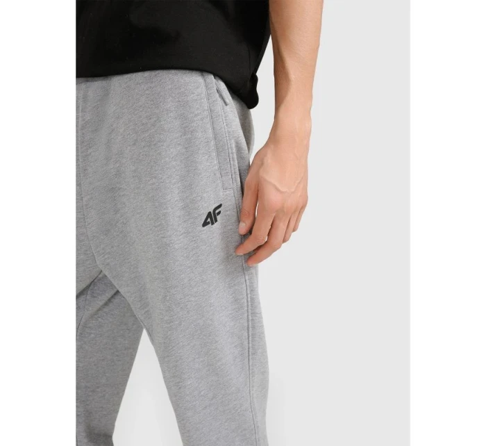 Pánské tepláky typu jogger 4F 4FRMM00TTROM1624-27M Pánské tepláky typu jogger 4F 4FRMM00TTROM1624-27M