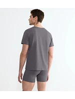 SLG BASE – Pánské O‑neck tričko z organické bavlny (regular fit) Sloggi