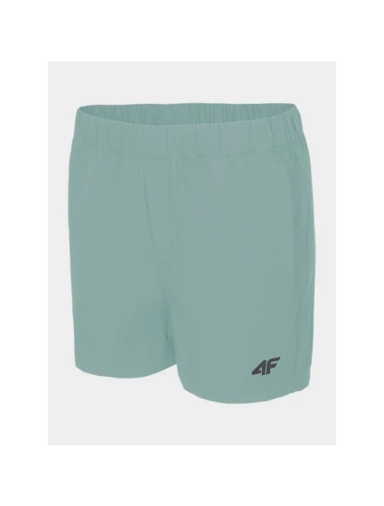 Dámské trekingové šortky 4F H4L22-SKDTR061-47S dámské