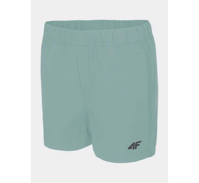 Dámské trekingové šortky 4F H4L22-SKDTR061-47S dámské