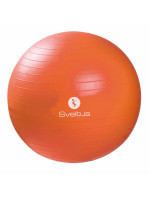 Gymball Sveltus