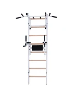 DŘEVĚNÝ KOVOVÝ GYMNASTICKÝ ŽEBŘÍK S HRAZDOU A PŘÍSLUŠENSTVÍM BENCHK 232W