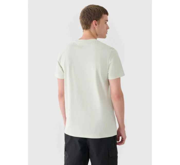 Pánské tričko s potiskem 4F 4FRAW24TTSHM2603-47S