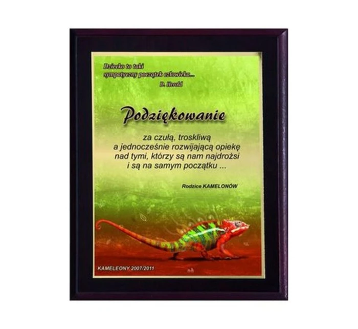 Plastový diplom s barevným dotykovým laminátem