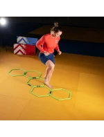 síť model 20685542 - HMS