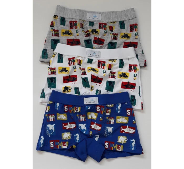 Dětské boxerky Gasoline U/2330