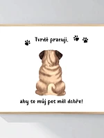 Personalizovaný magický fotoobraz v rámu - 40x50 - ilustrace mazlíčků