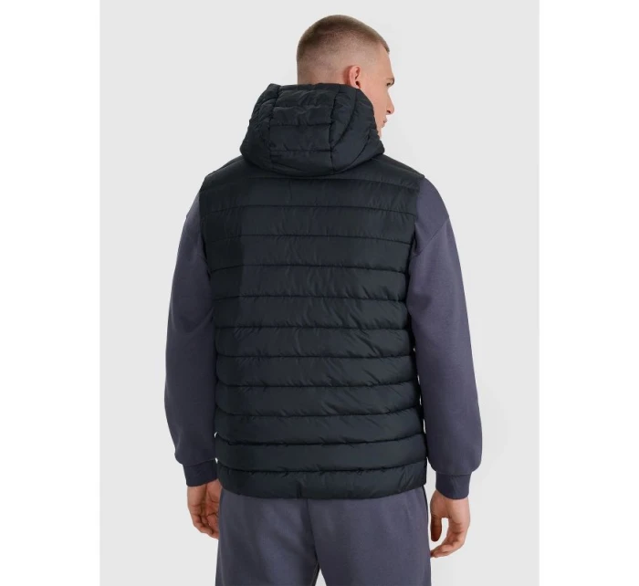 Pánské tričko bez rukávů se syntetickou výplní model 21812069 - 4F Pánské tričko bez rukávů se syntetickou výplní model 21812069 - 4F